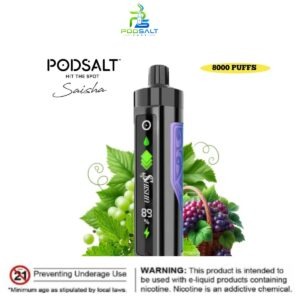 Pod Salt Shisha 8000 Puffs Grape Mint