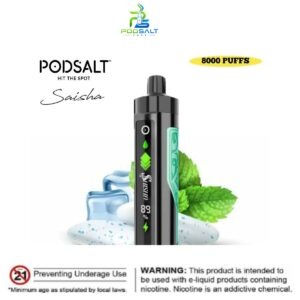 Pod Salt Shisha 8000 Puffs Gum Mint