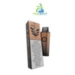 POD SALT EVOLVE 6000 Puffs Cantaloupe Ice