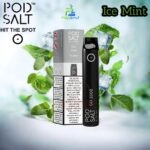 Pod Salt Go 2500 Puffs Ice Mint